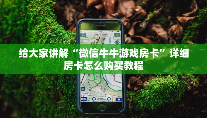 给大家讲解“微信牛牛游戏房卡”详细房卡怎么购买教程
