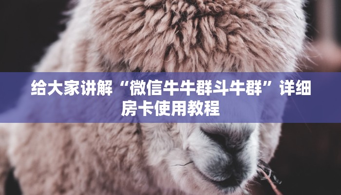 2026房卡教程“微信好友炸 金花房间链接怎么弄”房卡详细充值