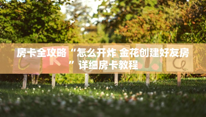 秒懂教程“微信链接斗牛技巧规律”详细房卡怎么购买教程