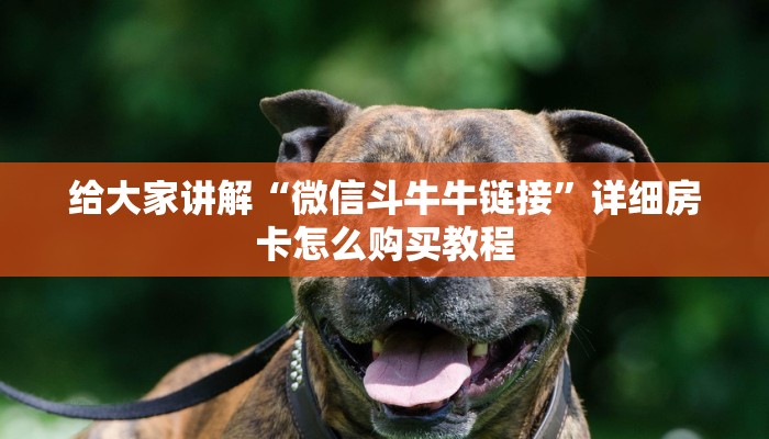 房卡全攻略“微信链接牛牛房卡怎么购买”详细房卡怎么购买教程 房卡全攻略“微信链接牛牛房卡怎么购买”详细房卡怎么购买教程
