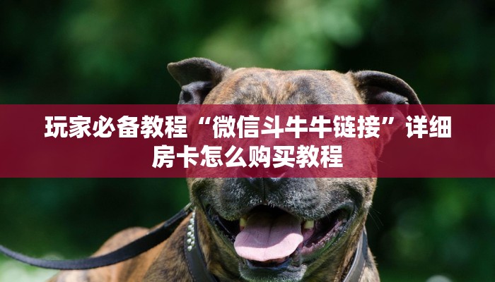 一分钟实测分享“微信炸 金花链接怎样弄”轻松获取房卡全渠道