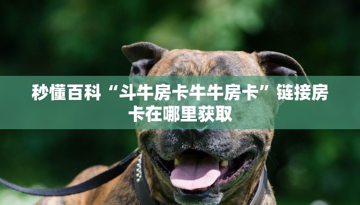 秒懂百科“斗牛房卡牛牛房卡”链接房卡在哪里获取
