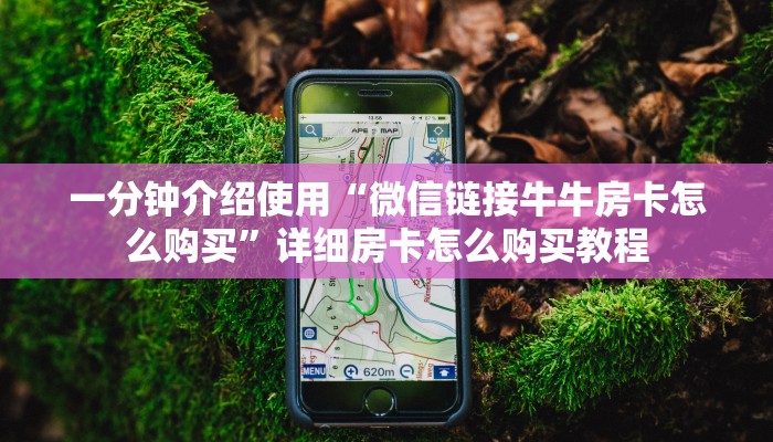 一分钟介绍使用“微信链接牛牛房卡怎么购买”详细房卡怎么购买教程