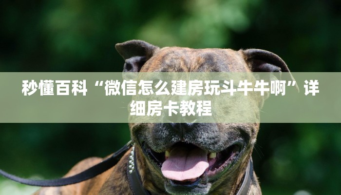 秒懂百科“青龙大厅在哪里买房卡”房卡详细充值