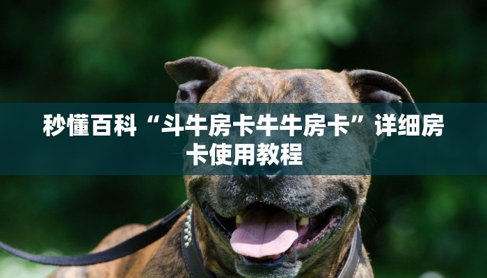 秒懂百科“斗牛房卡牛牛房卡”详细房卡使用教程 秒懂百科“斗牛房卡牛牛房卡”详细房卡使用教程