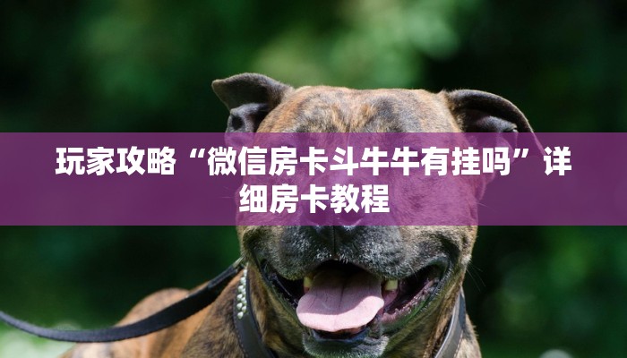 玩家必备教程“有没有微信炸 金花房卡”房卡链接获取